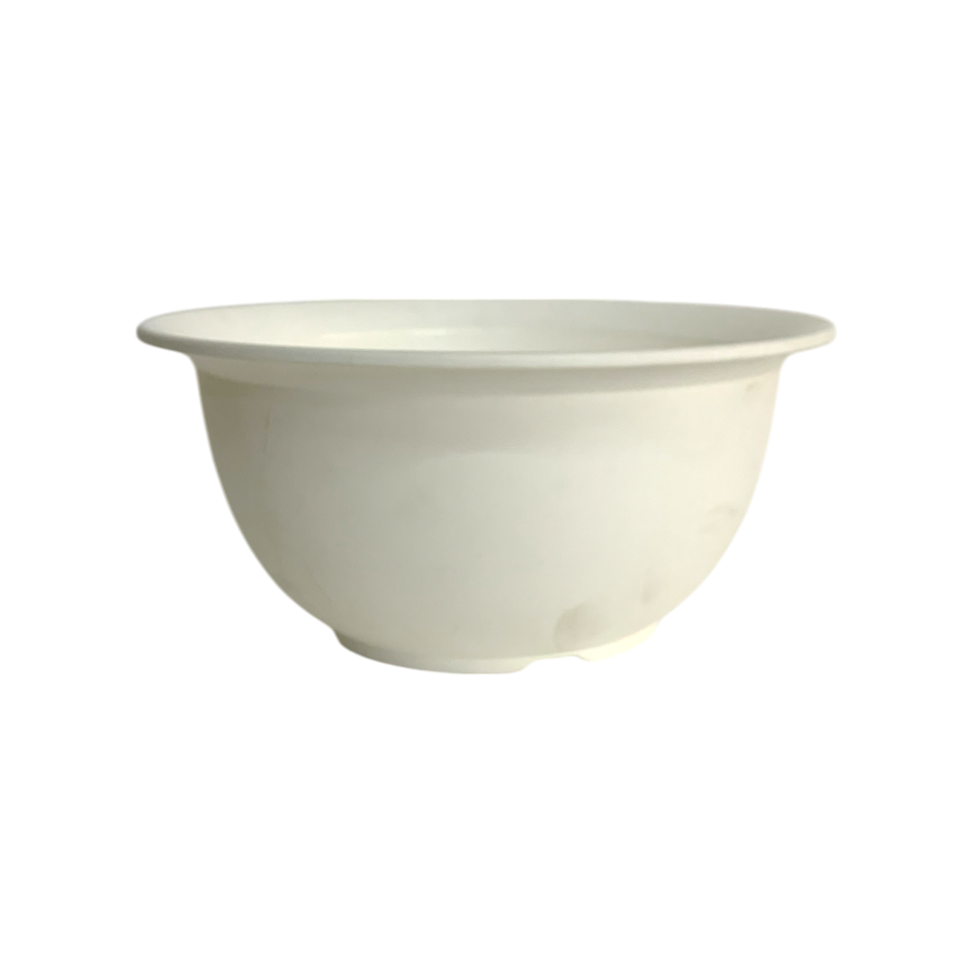 White Bowl