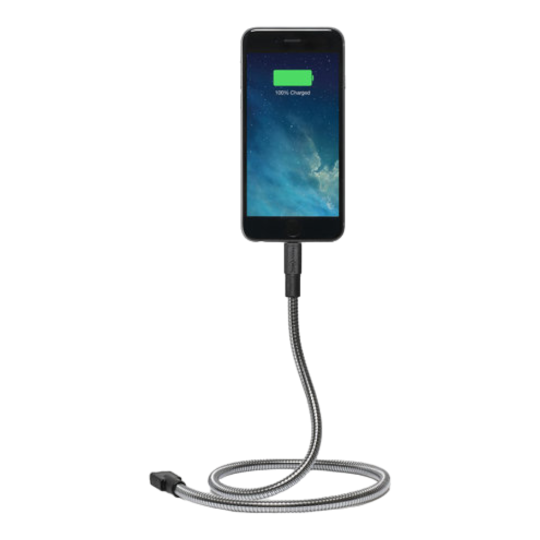 Bobine Flexible Iphone Dock