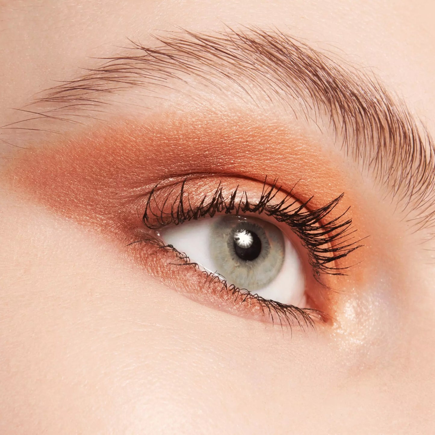 Close-up of a person's eye with brown eyeshadow